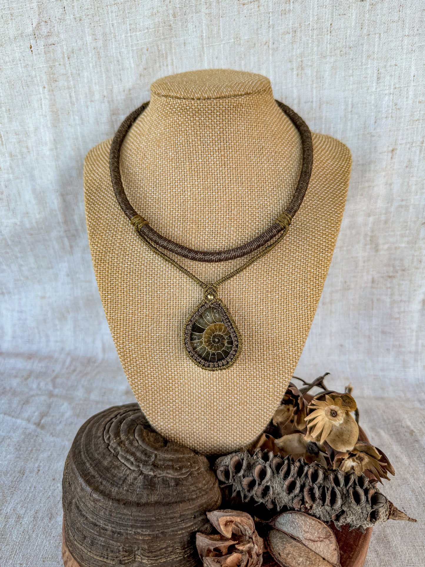Ammonite Fossil Necklace