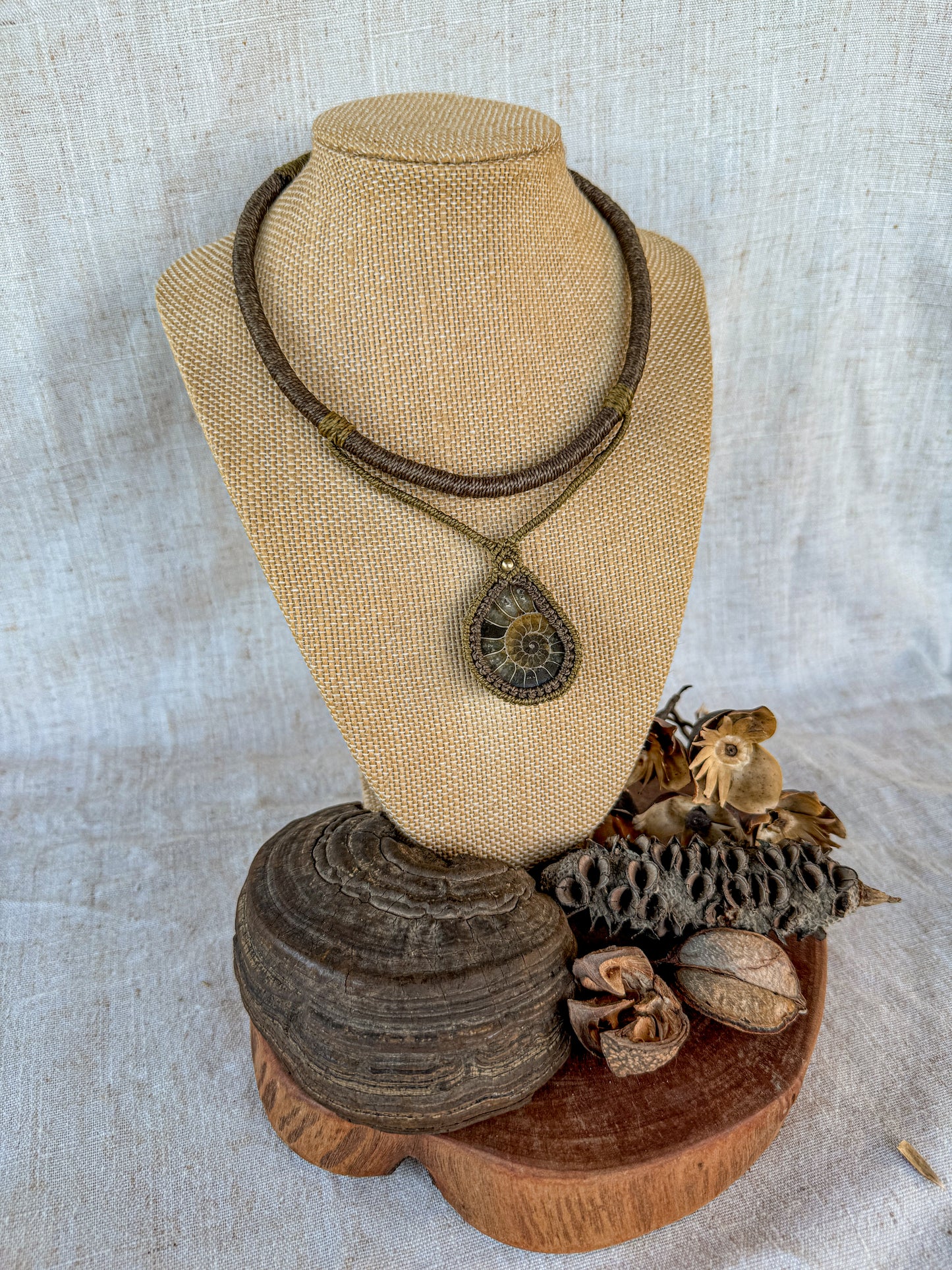 Ammonite Fossil Necklace
