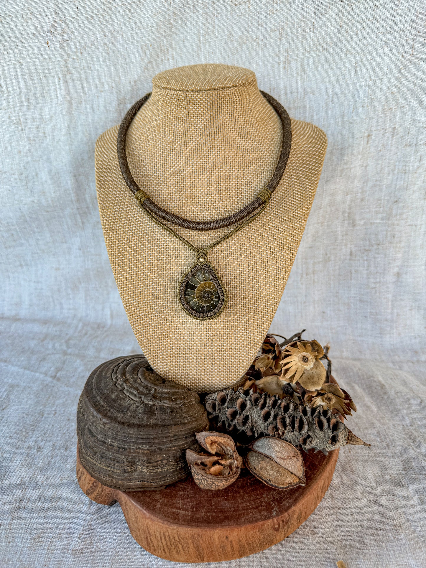 Ammonite Fossil Necklace