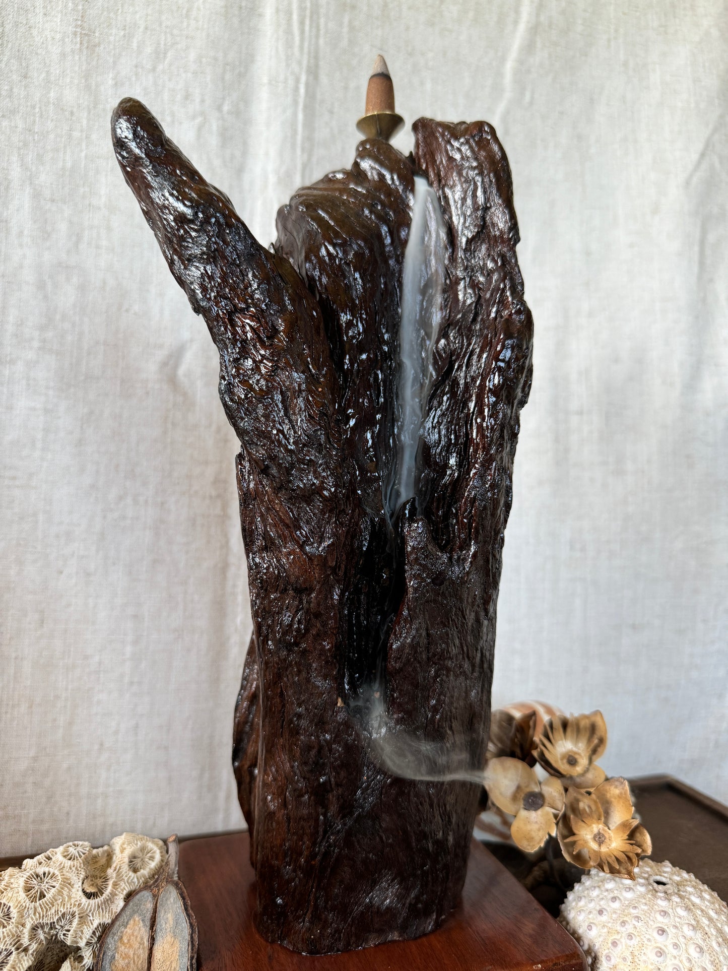 Glossy Jarrah Driftwood Backflow Incense Holder