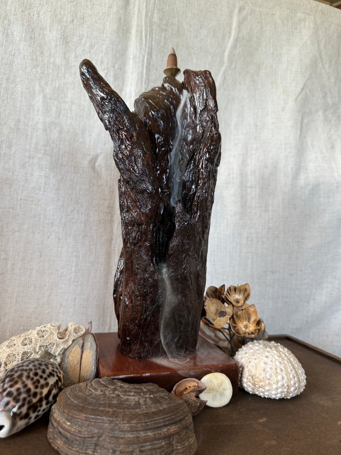 Glossy Jarrah Driftwood Backflow Incense Holder