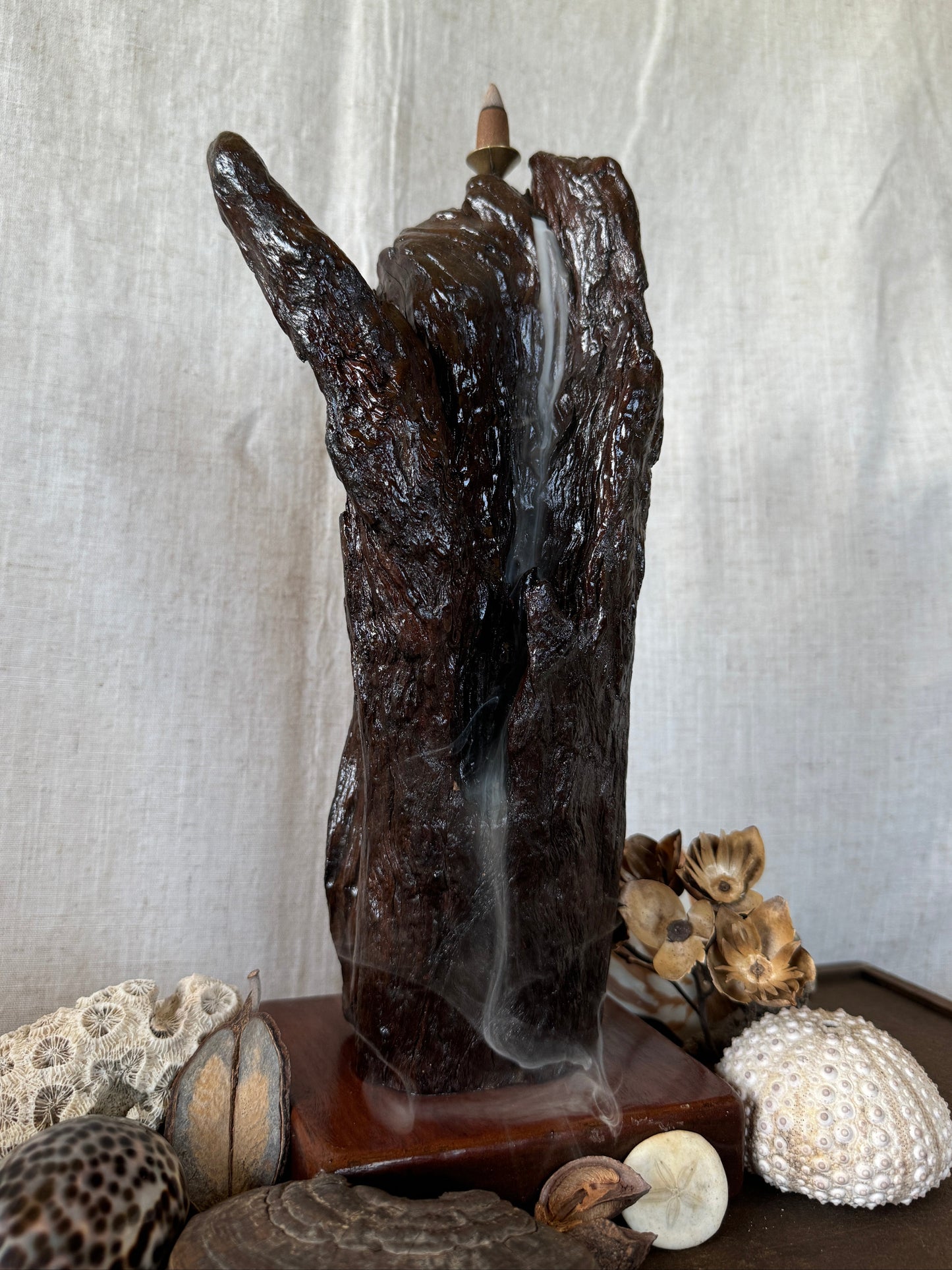 Glossy Jarrah Driftwood Backflow Incense Holder