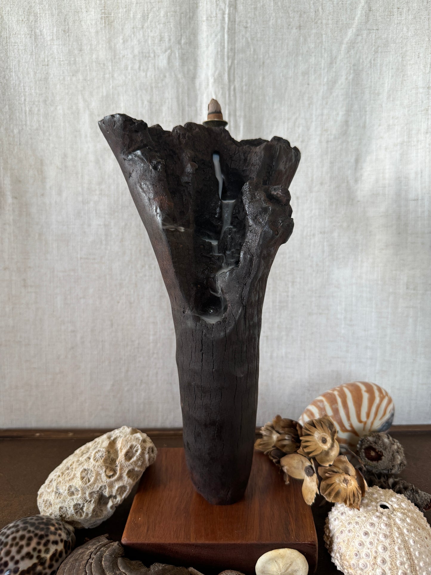 Satin Jarrah Driftwood Backflow Incense Holder