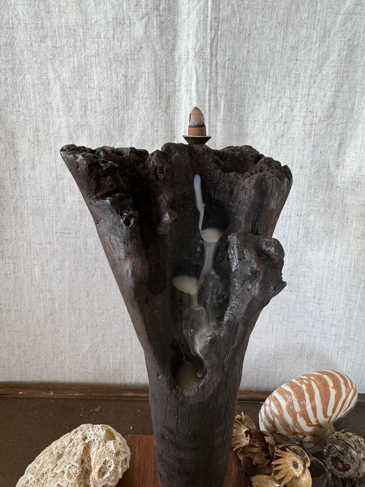 Satin Jarrah Driftwood Backflow Incense Holder