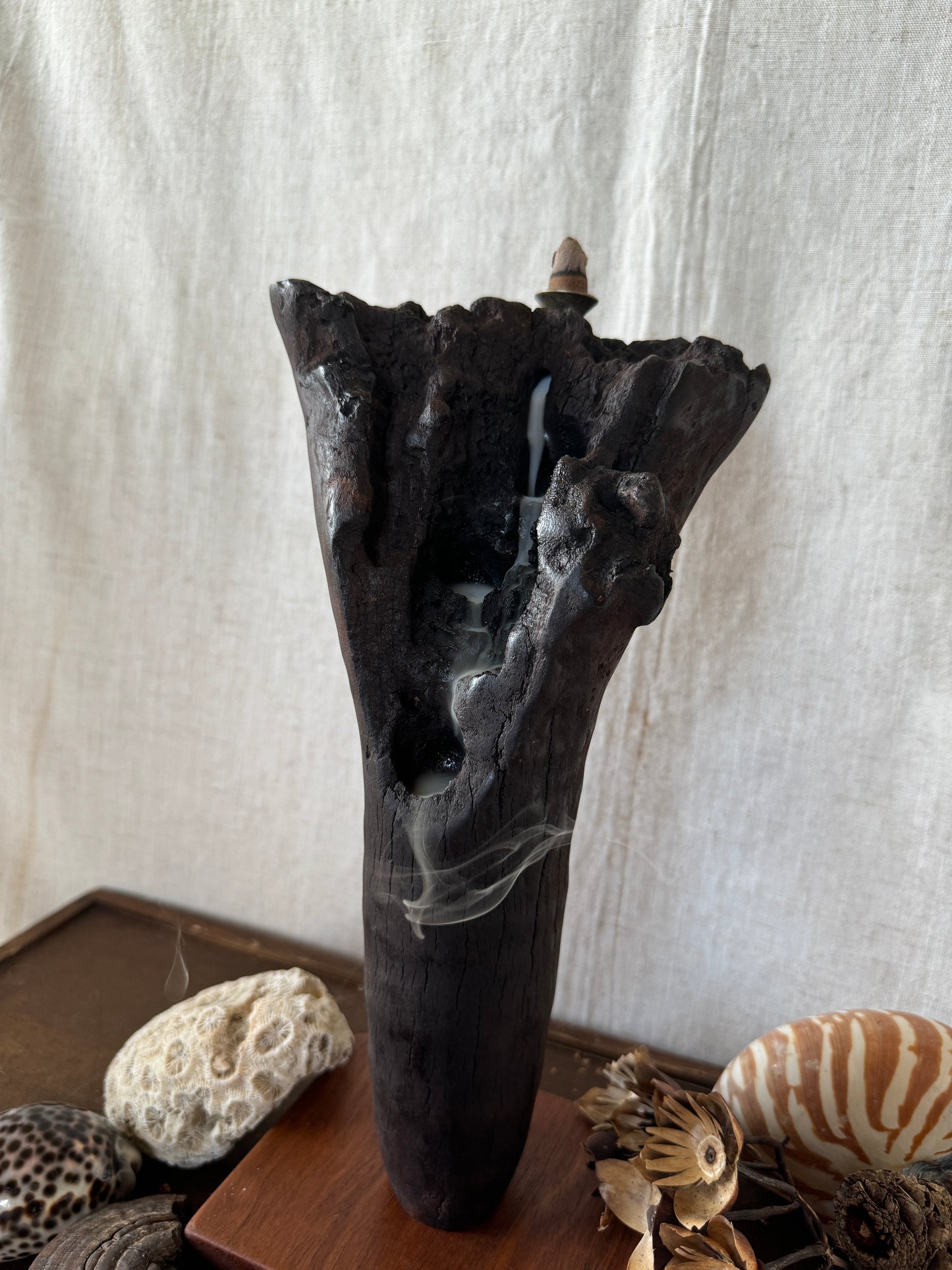 Satin Jarrah Driftwood Backflow Incense Holder