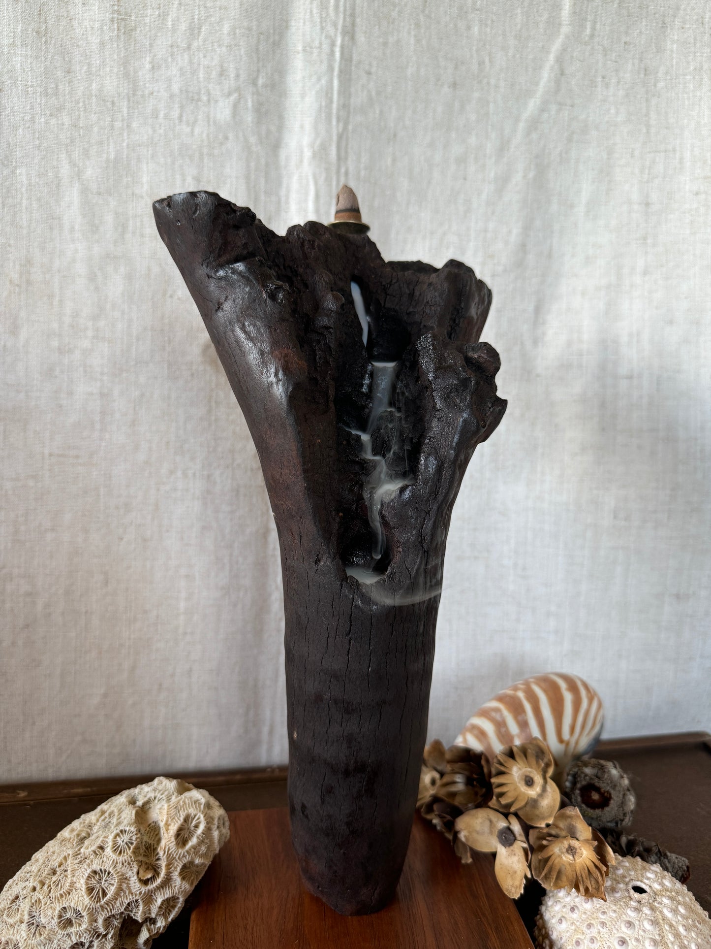 Satin Jarrah Driftwood Backflow Incense Holder