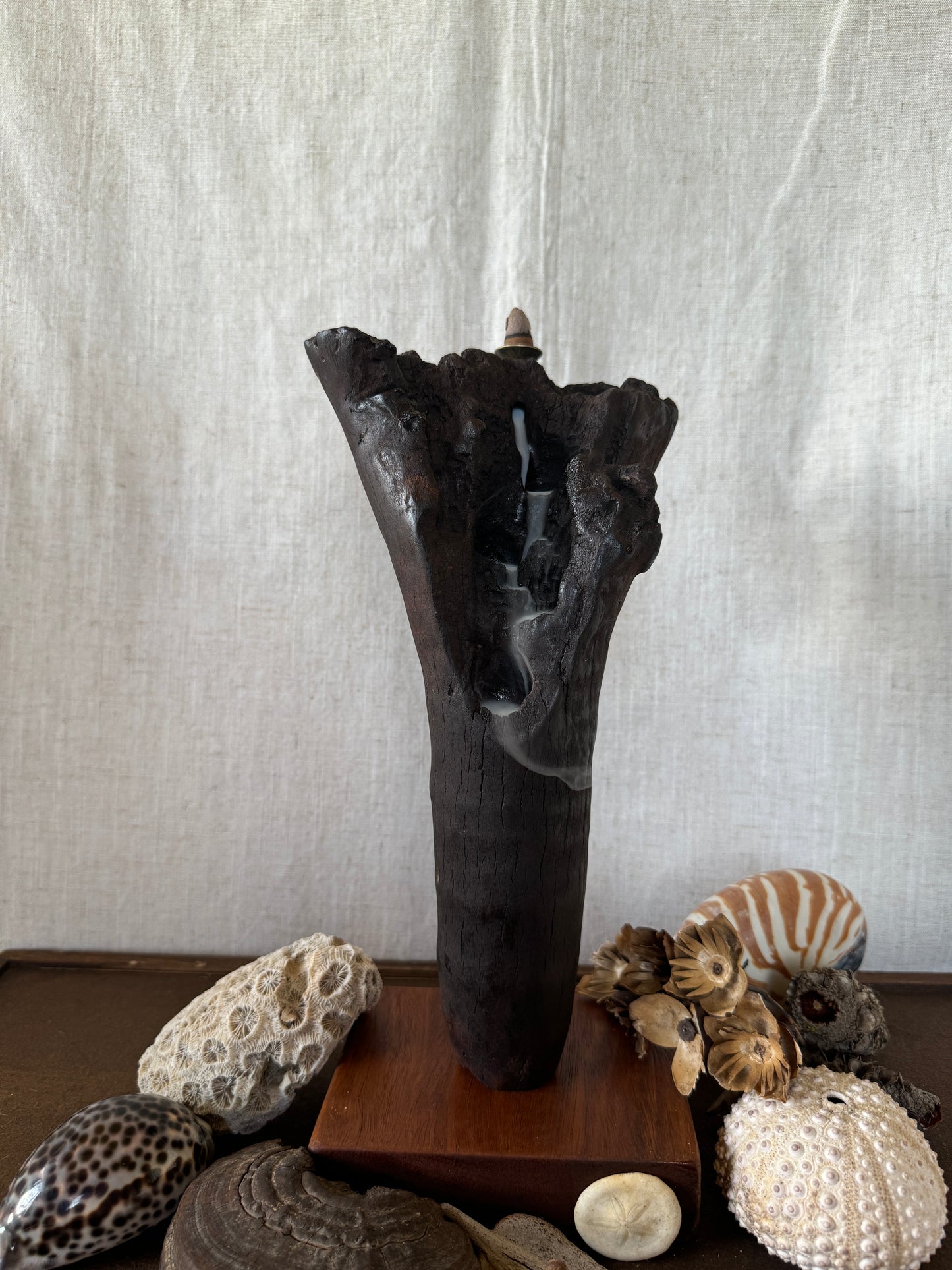 Satin Jarrah Driftwood Backflow Incense Holder