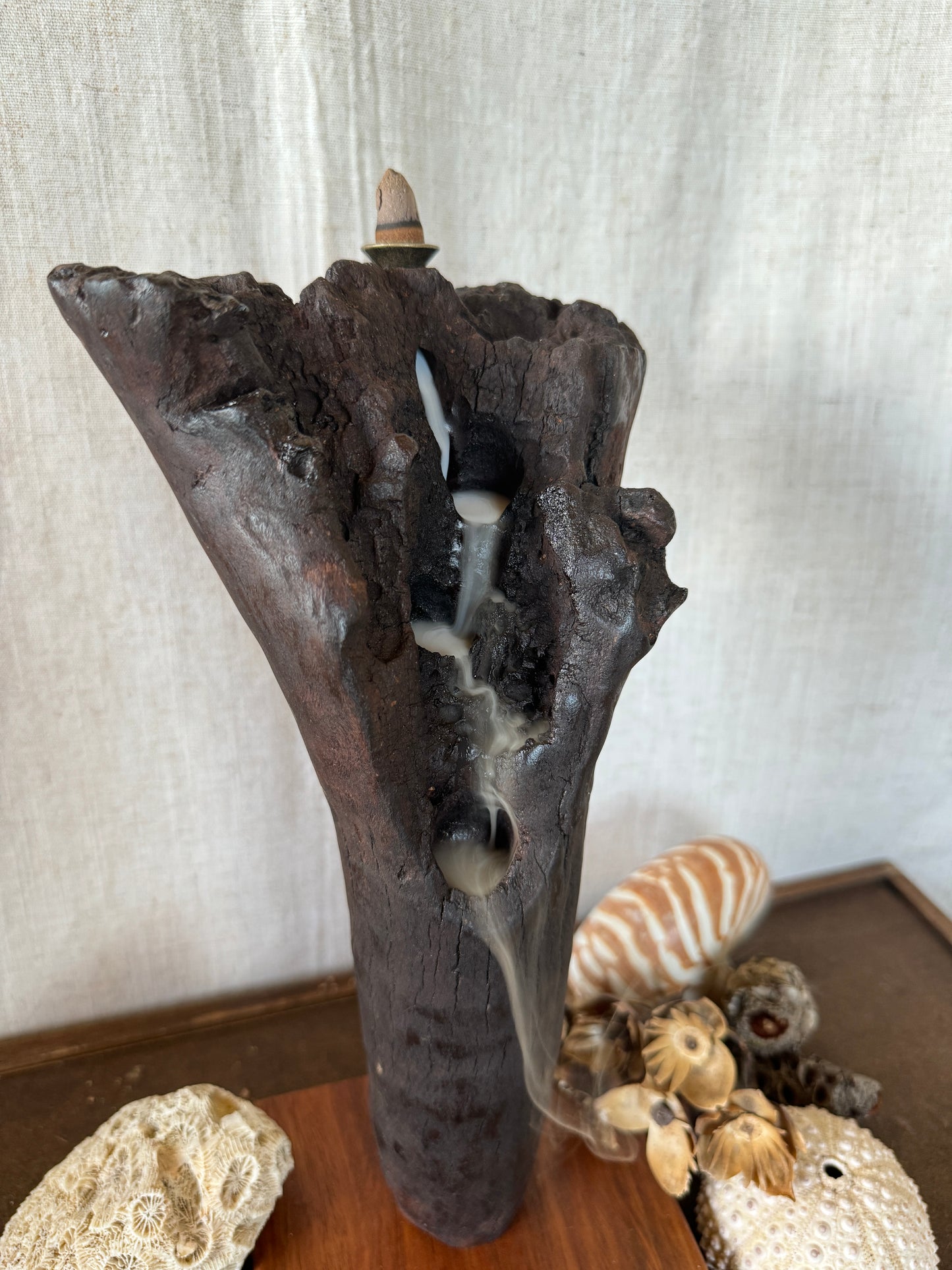 Satin Jarrah Driftwood Backflow Incense Holder