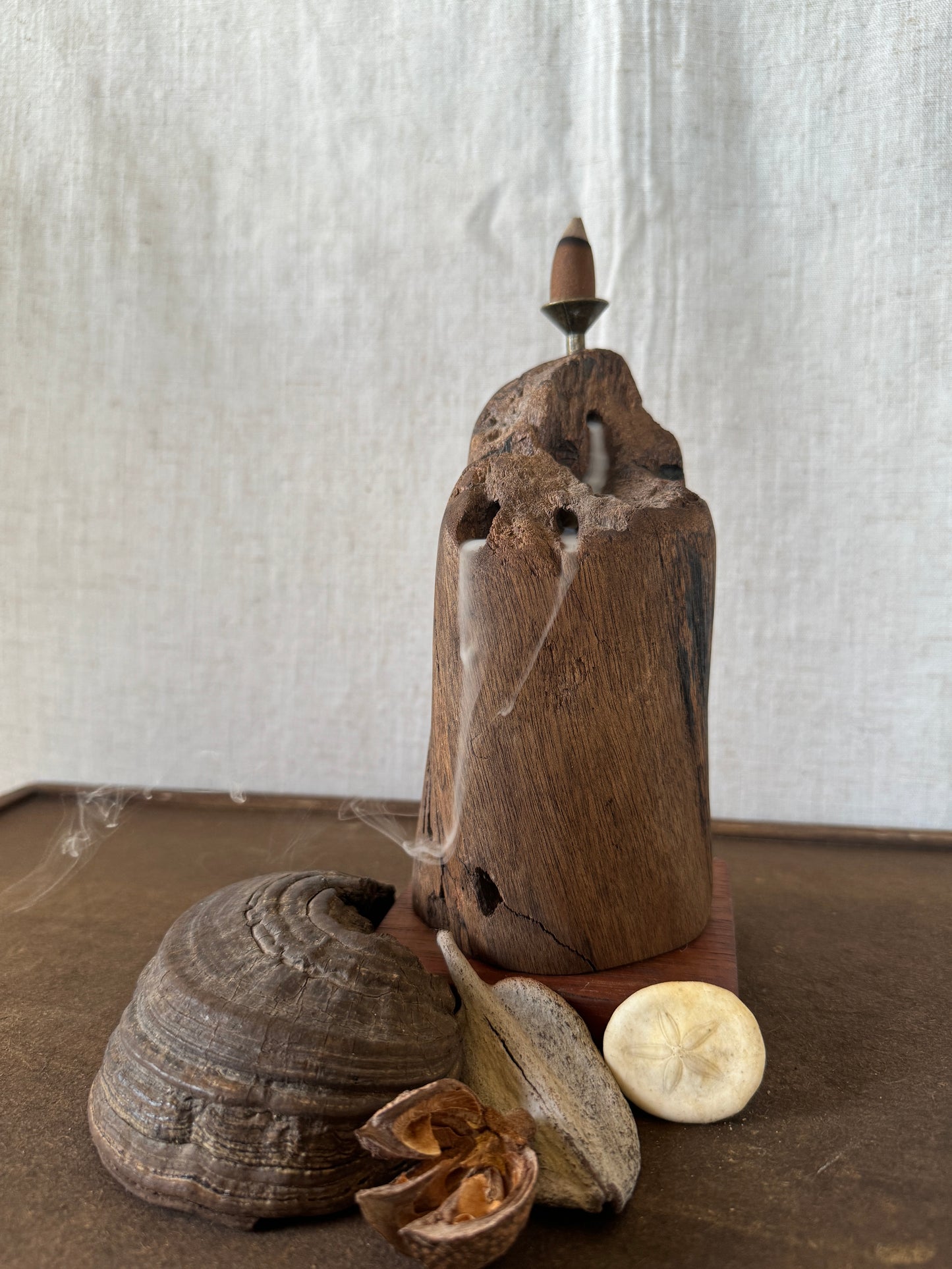Matte Jarrah Driftwood Backflow Incense Holder