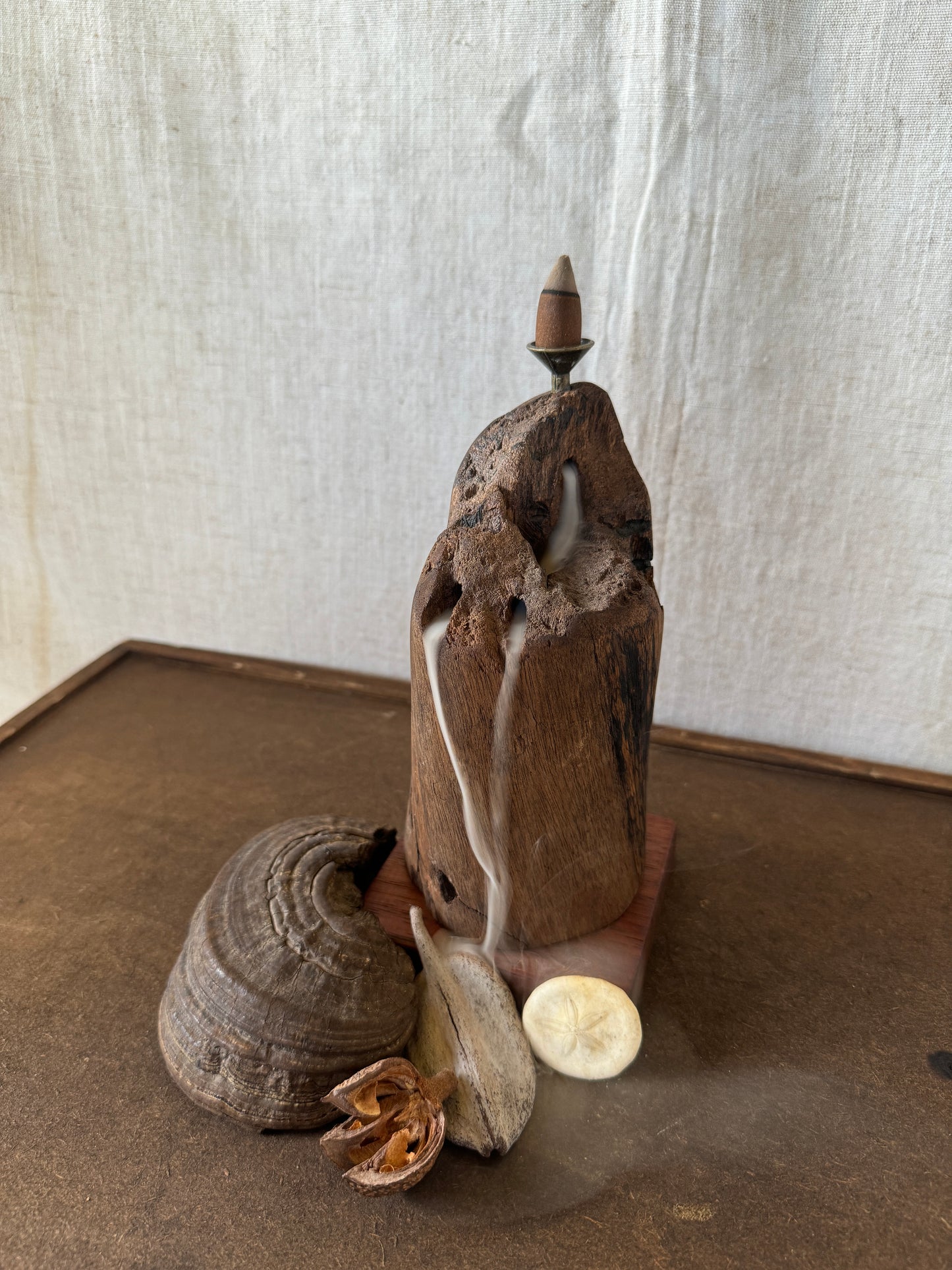 Matte Jarrah Driftwood Backflow Incense Holder