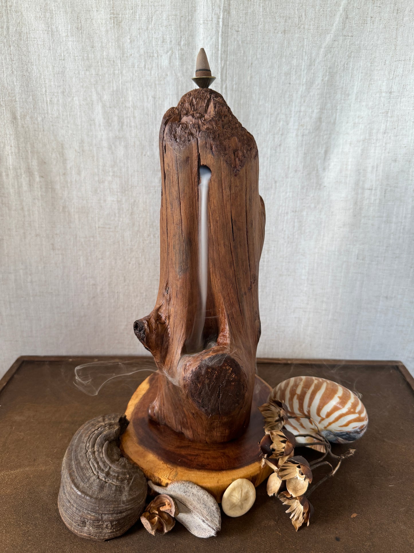 Satin Jarrah Driftwood Backflow Incense Holder