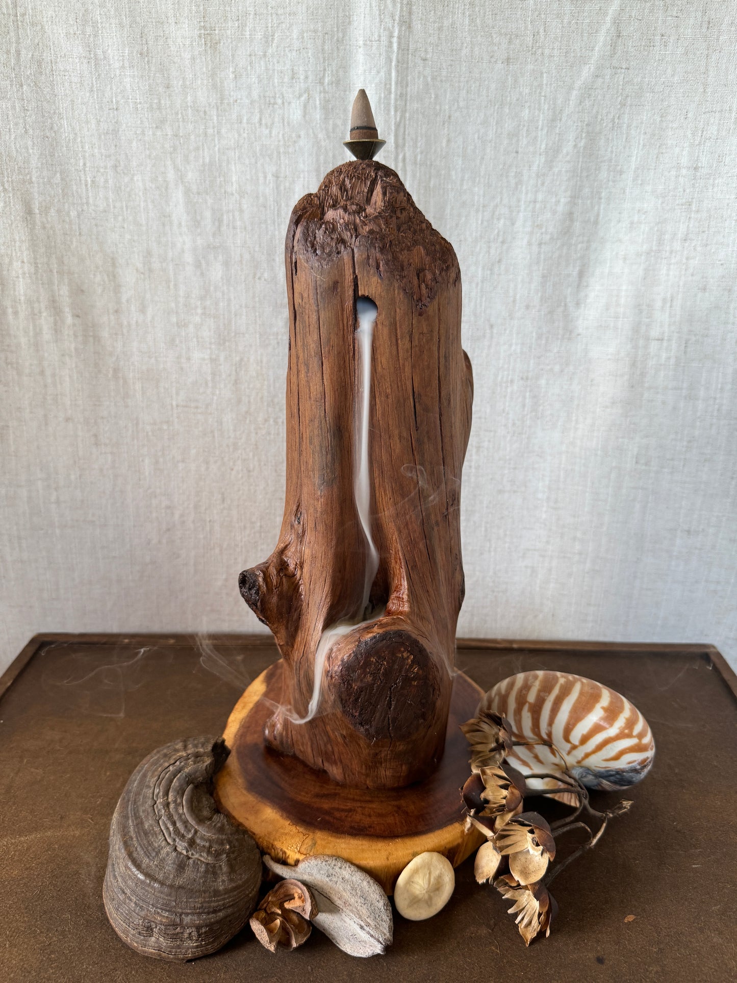 Satin Jarrah Driftwood Backflow Incense Holder