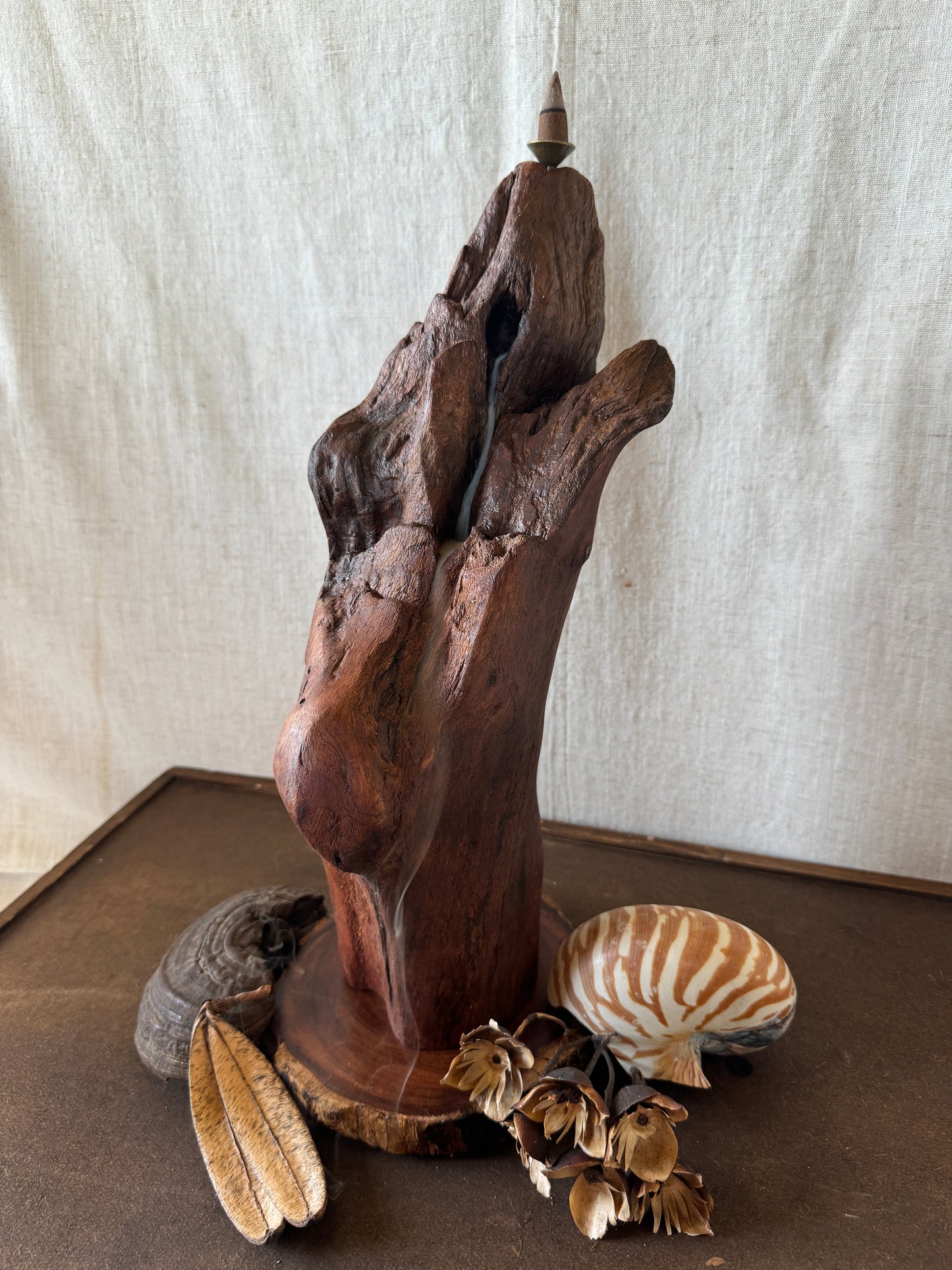 Satin Jarrah Driftwood Backflow Incense Holder