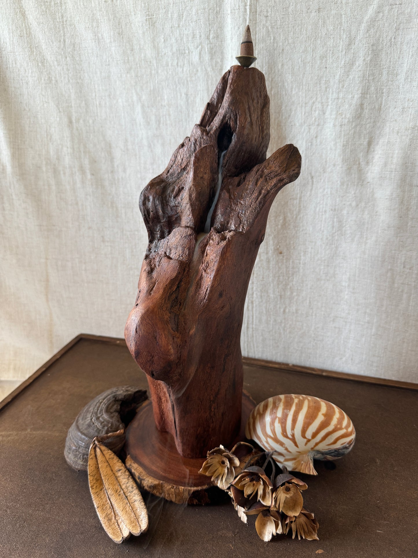 Satin Jarrah Driftwood Backflow Incense Holder