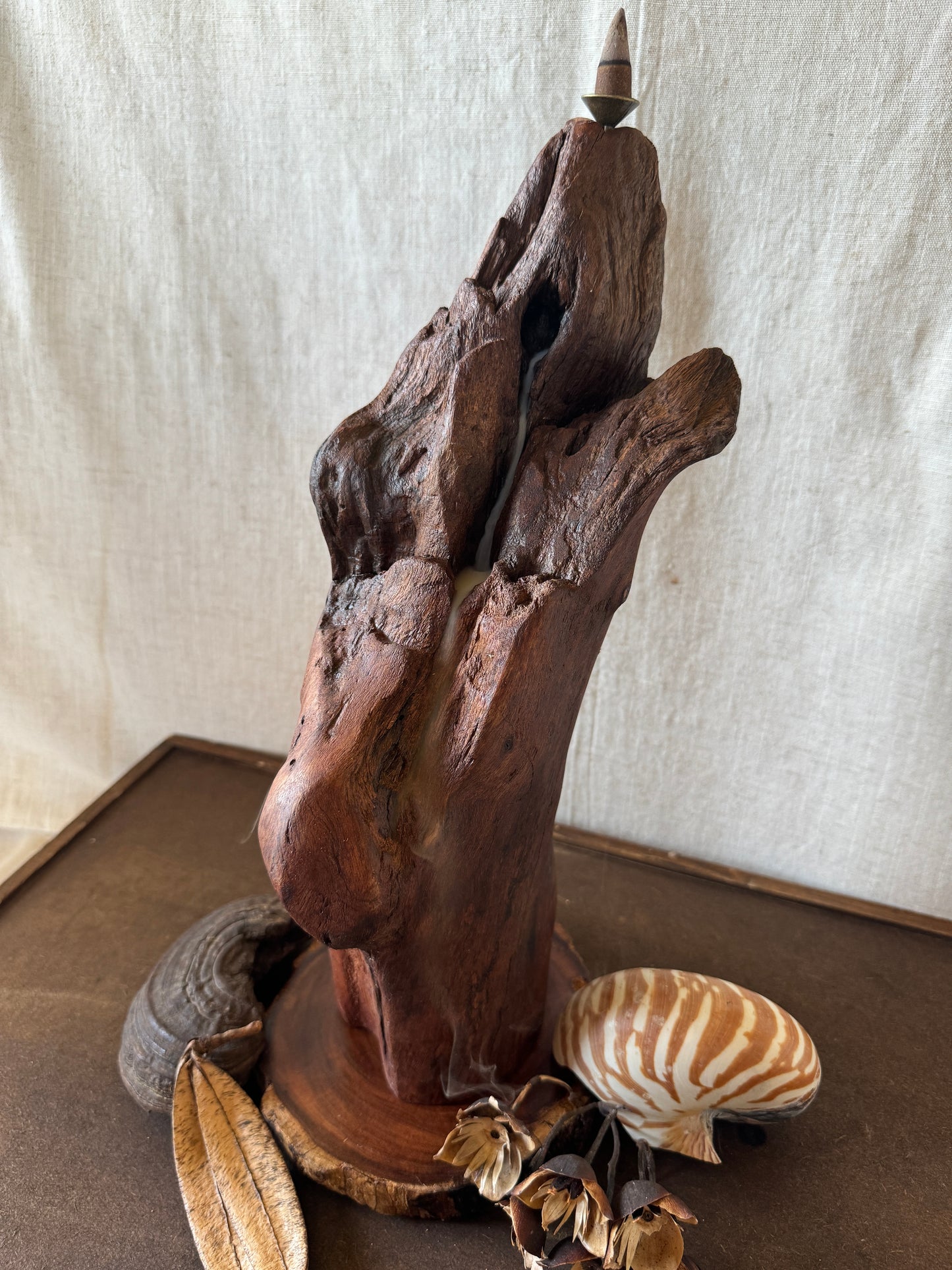 Satin Jarrah Driftwood Backflow Incense Holder