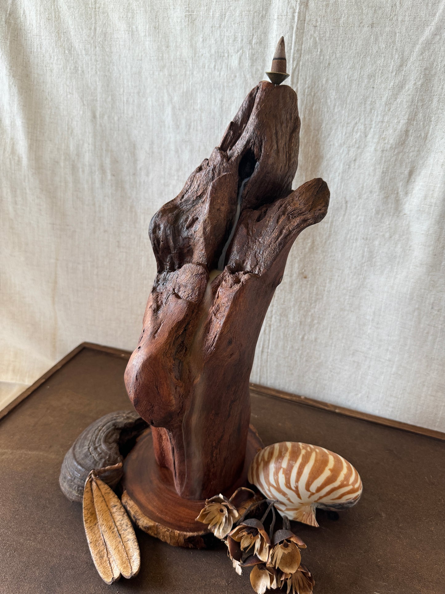 Satin Jarrah Driftwood Backflow Incense Holder