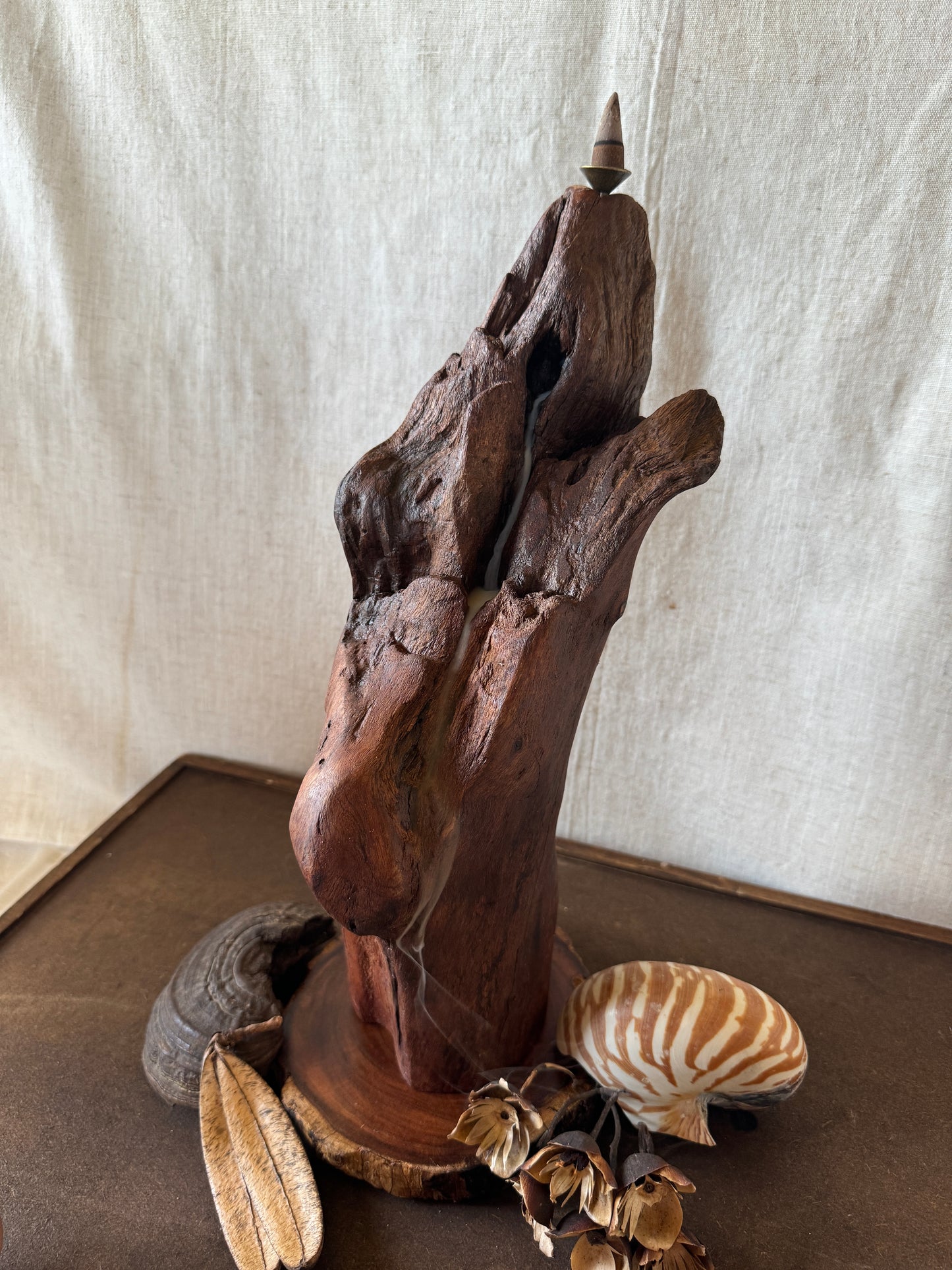 Satin Jarrah Driftwood Backflow Incense Holder