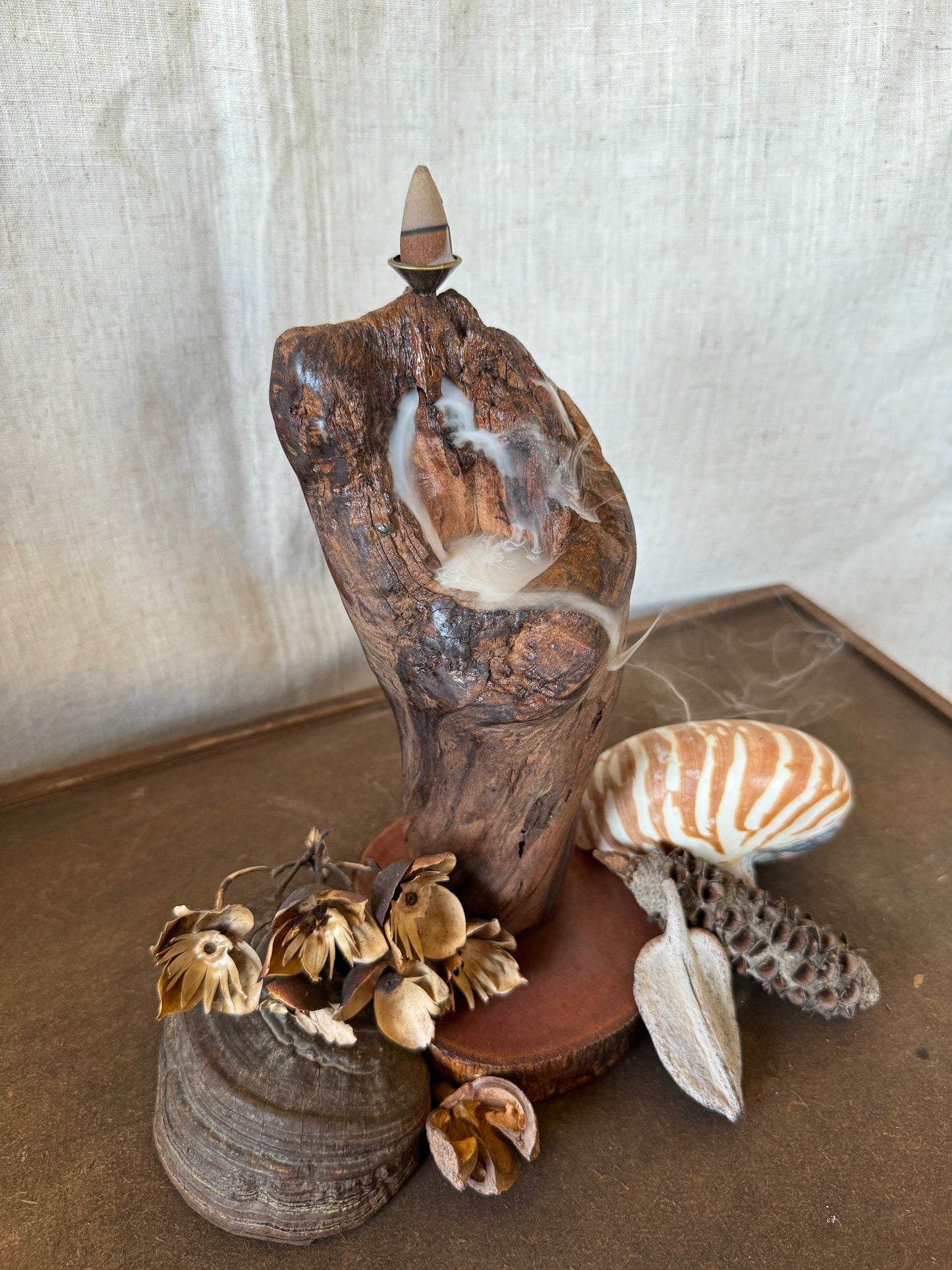 Satin Jarrah Driftwood Backflow Incense Holder