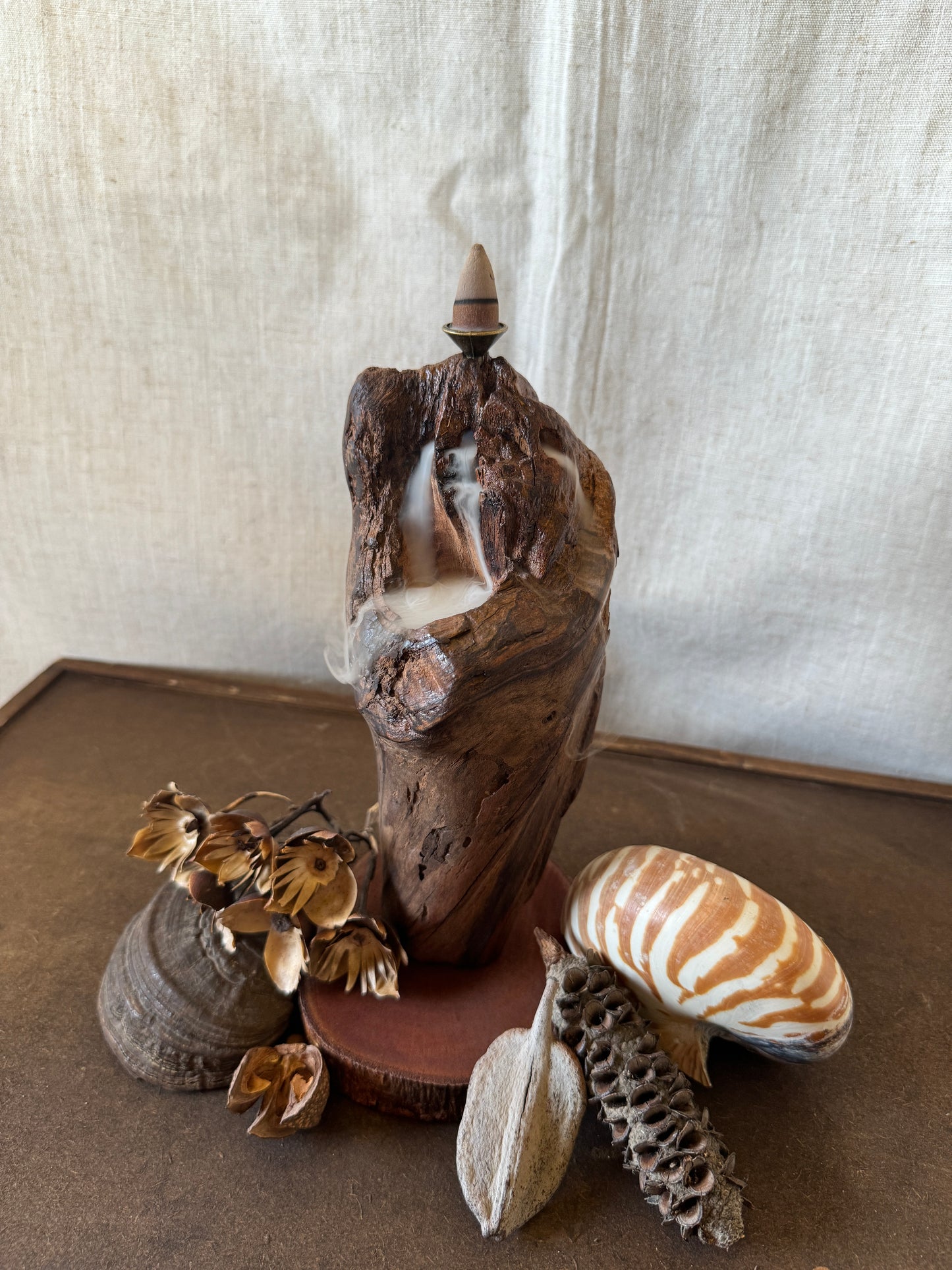 Satin Jarrah Driftwood Backflow Incense Holder