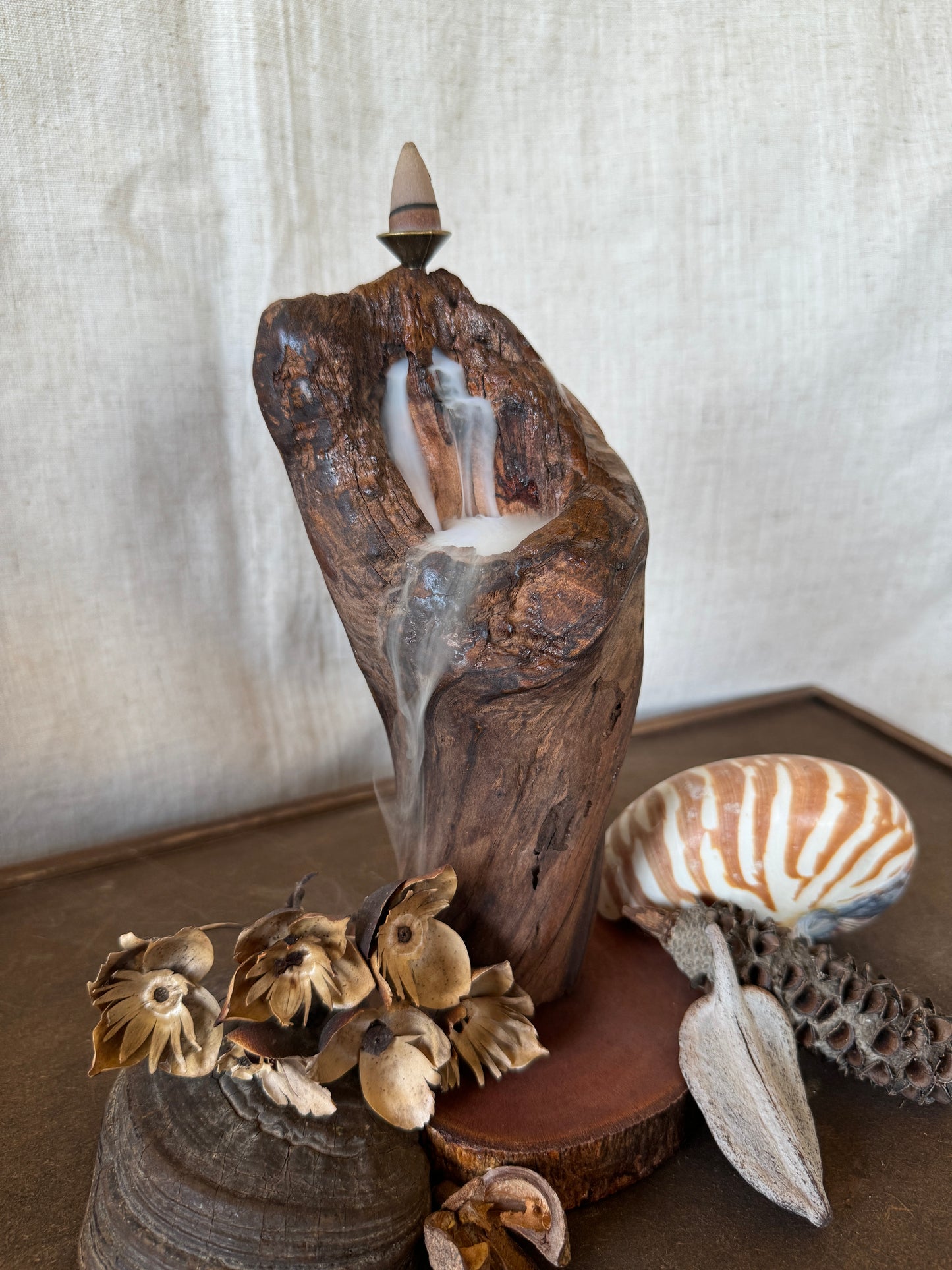 Satin Jarrah Driftwood Backflow Incense Holder