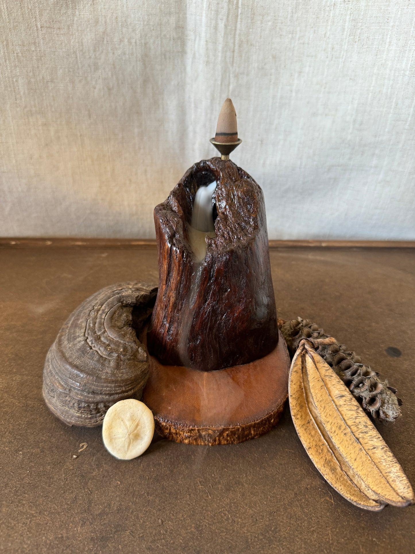 Glossy Jarrah Driftwood Backflow Incense Holder