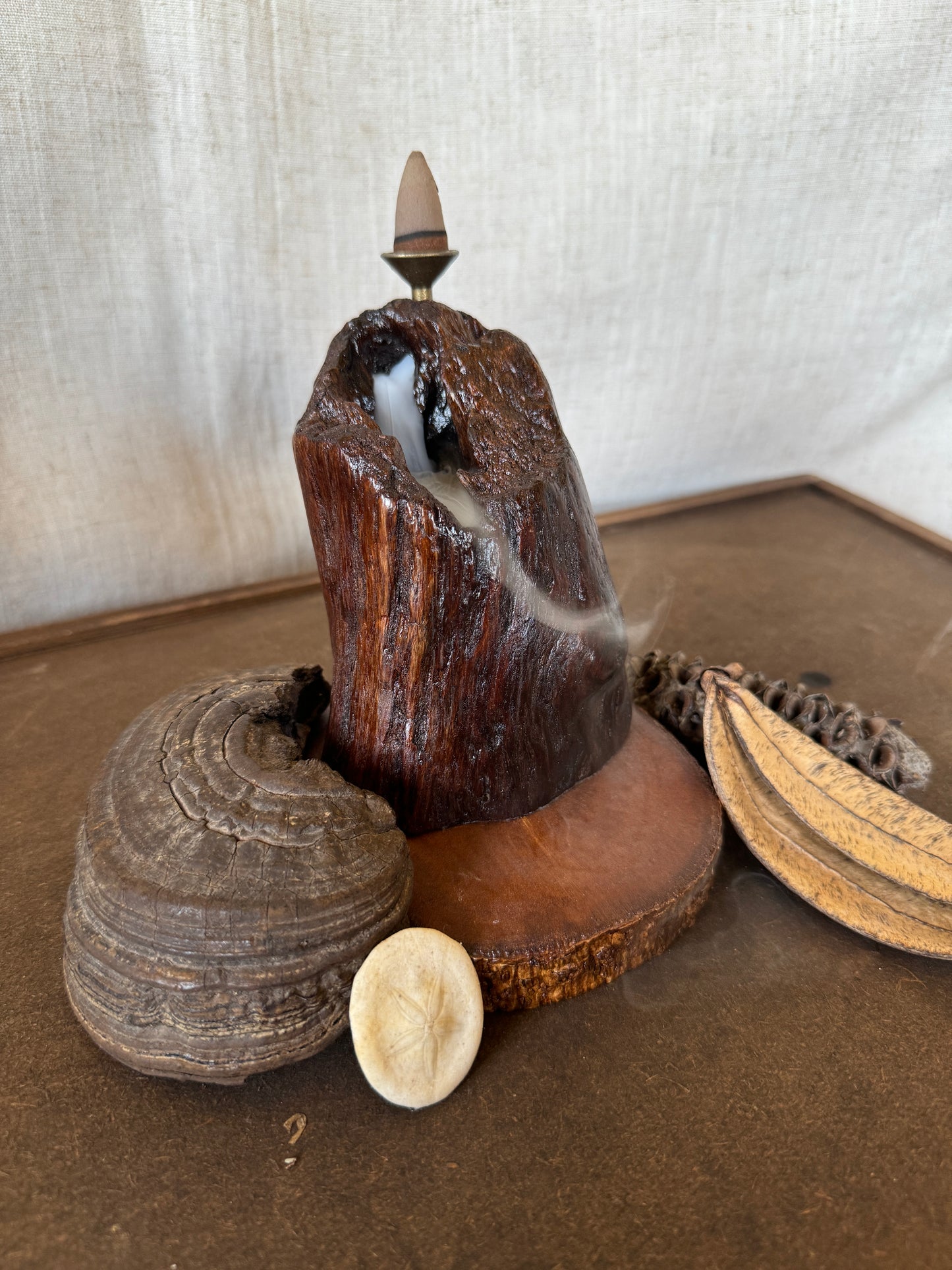Glossy Jarrah Driftwood Backflow Incense Holder