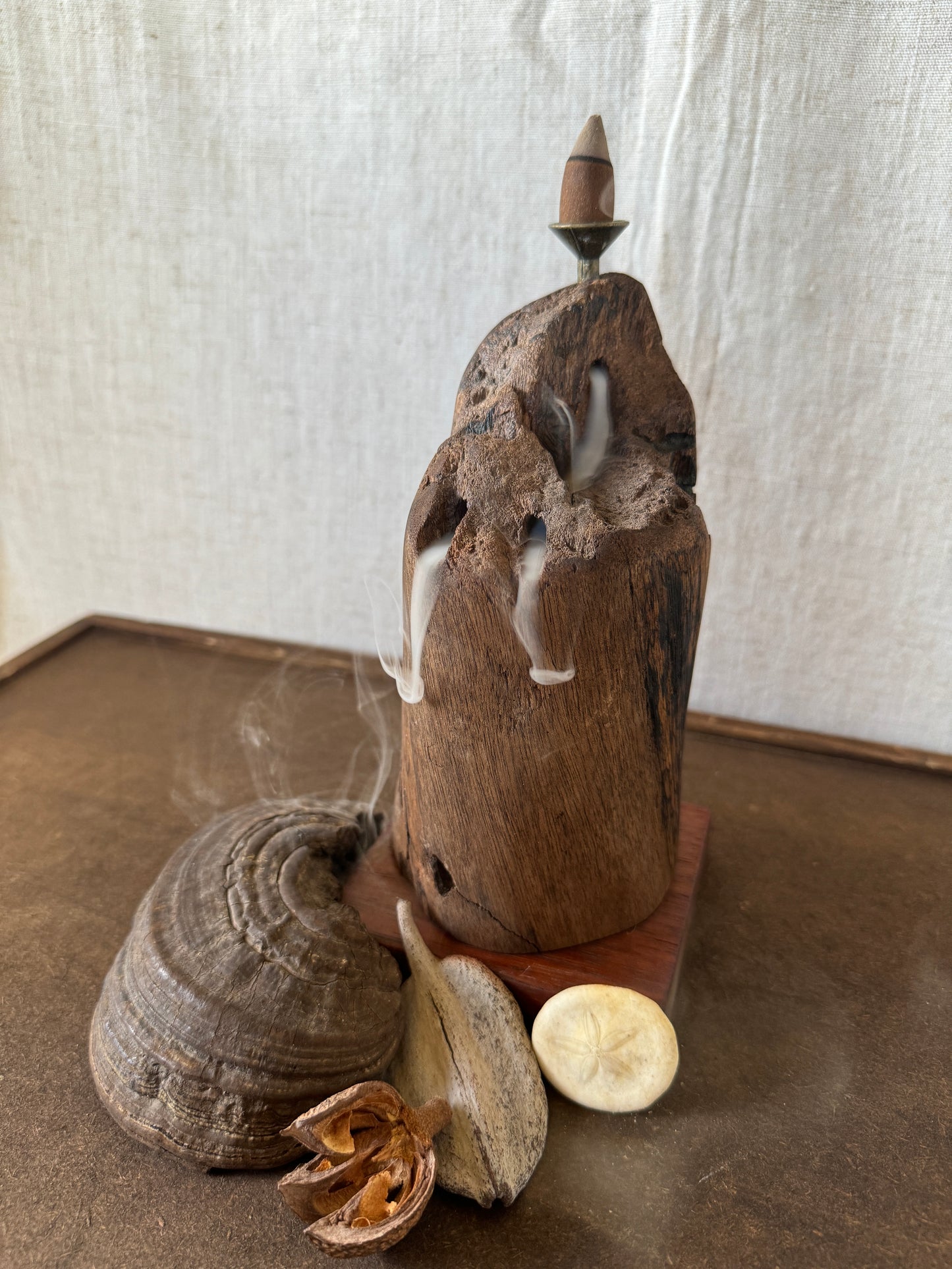 Matte Jarrah Driftwood Backflow Incense Holder