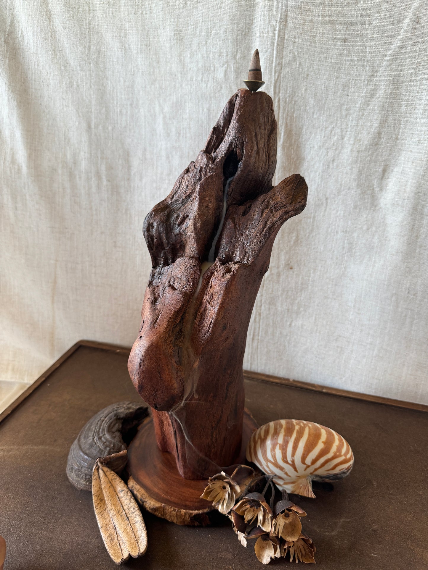 Satin Jarrah Driftwood Backflow Incense Holder