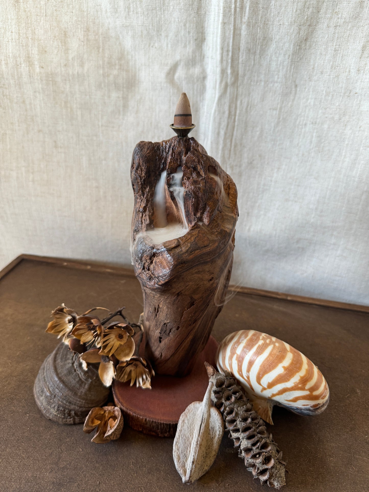 Satin Jarrah Driftwood Backflow Incense Holder